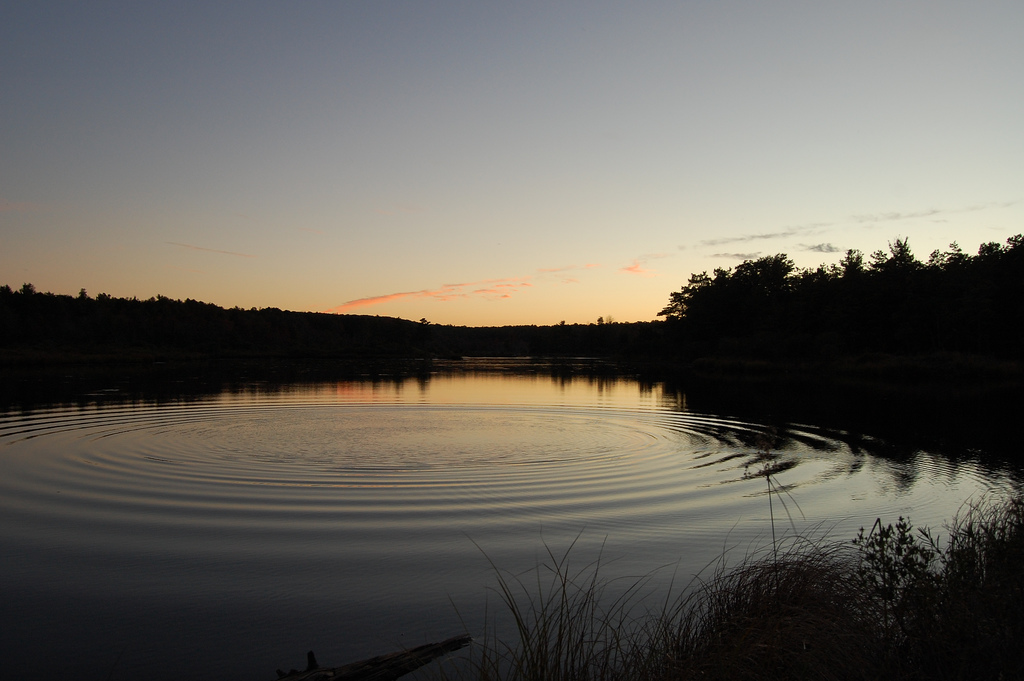 A quiet lake with a ripple spreading from the center